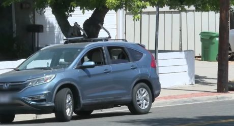 Recién nacida murió tras ser abandonada 9 horas en el auto afuera de su casa en San Diego