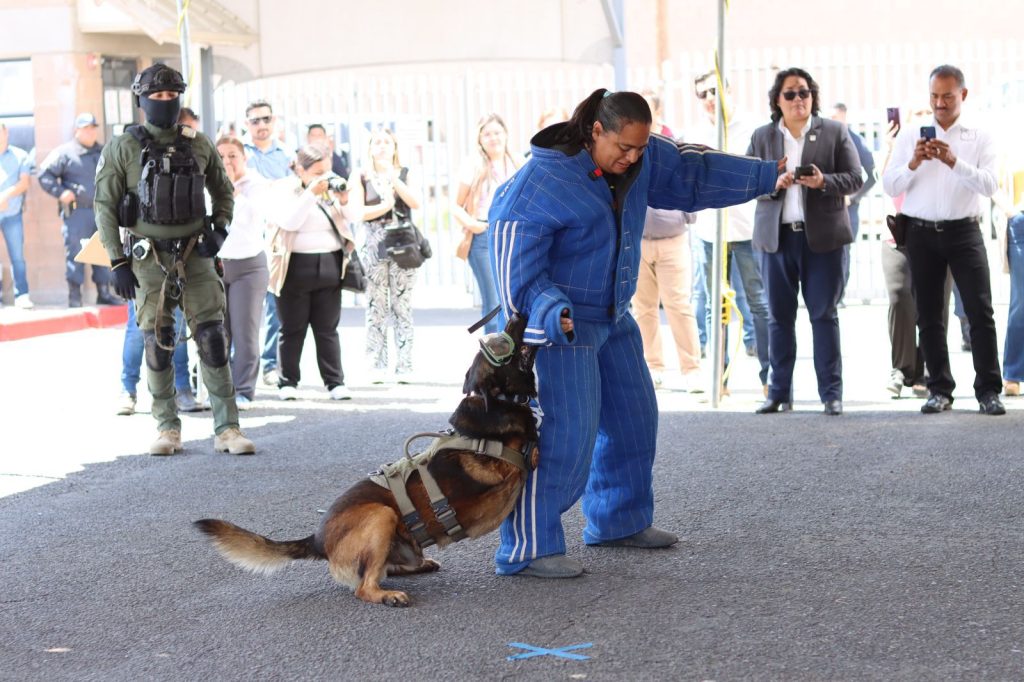 Boris-agente-canino-FESC-nombrado-perro-del-ano-2023