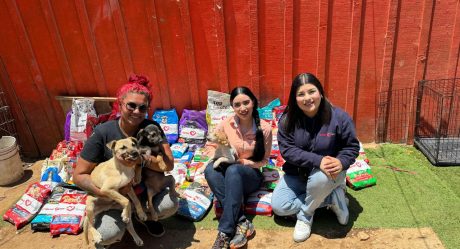 Caliente Ayuda visita a mascotas en abandono