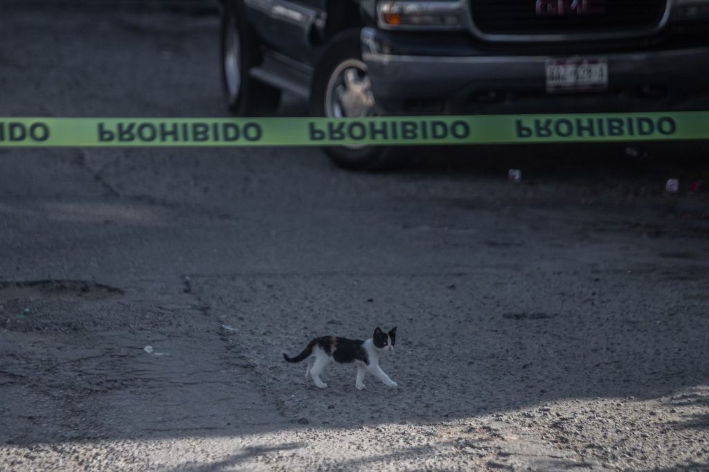 Asesinan a hombre dentro de una casa de la colonia 70-76