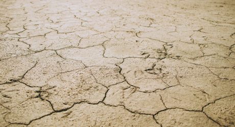 Los más vulnerables sufrirán las consecuencias del cambio climático: CIGAMX