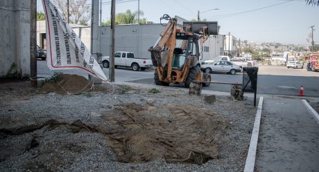 Vecinos inconformes por la tala de árboles en la nueva estación de bomberos