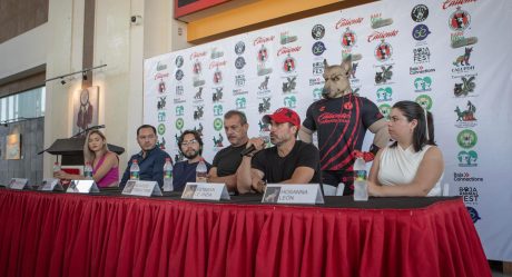 Anuncian Baja Animal Fest