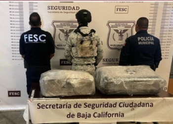 Grupo de coordinación asegura más de 30 kg de metanfetamina en Tijuana