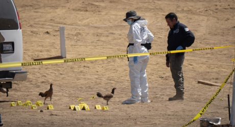 Dos muertos y un lesionado tras ataque armado en la colonia Salvatierra