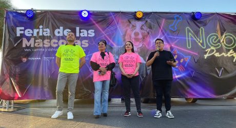  Ayuntamiento de Tijuana realizó la feria de las mascotas neón