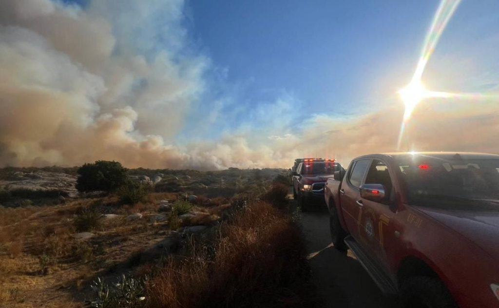 Bomberos de Tijuana brindan apoyo en incendio forestal en Tecate