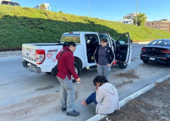 UMAS atendió tres mil 300 servicios durante gobierno de Montserrat Caballero