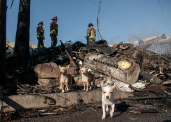 Incendio consume dos viviendas en la Col. 10 de Mayo