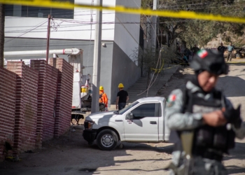 Hombre y su perro mueren electrocutados por cables de CFE caídos