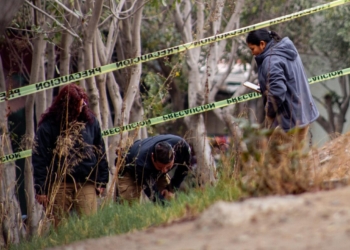 Hallazgo de cuerpo con huellas de violencia en jardinera de la Línea de San Ysidro