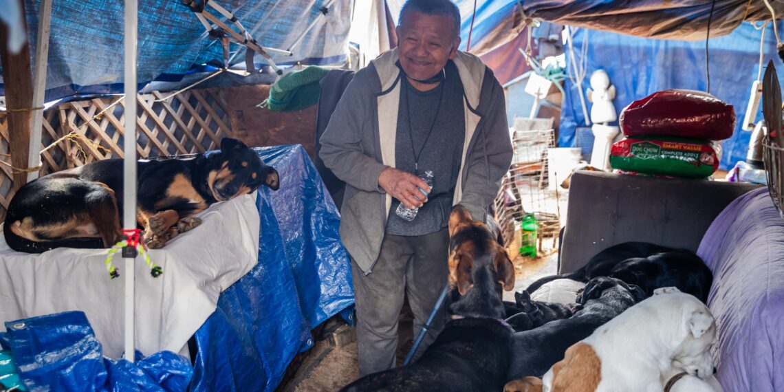 Rescatista pide apoyo para trasladar a 70 perros a un nuevo refugio