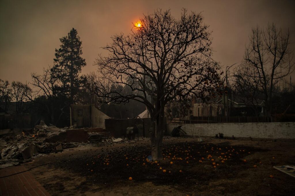 Cinco muertos, miles de evacuados y devastación por incendios en el condado de Los Ángeles