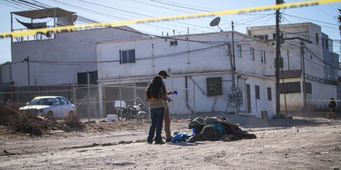 Tiran cajas con el cadáver descuartizado de una joven