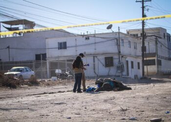 Tiran cajas con el cadáver descuartizado de una joven