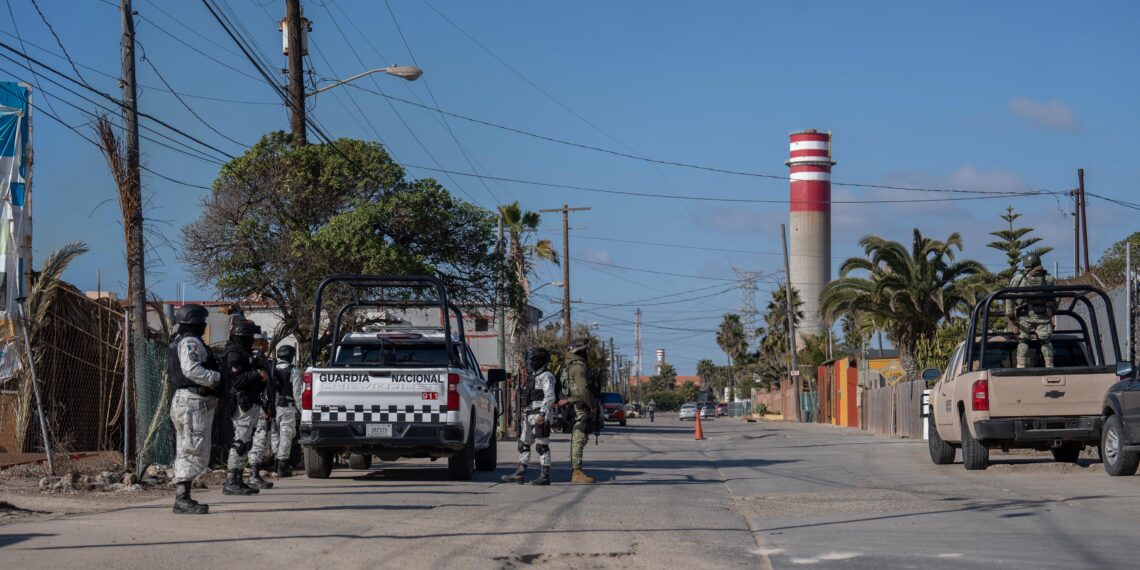 Encuentran toneladas de metanfetamina en paquetes de croquetas tras cateo en Rosarito