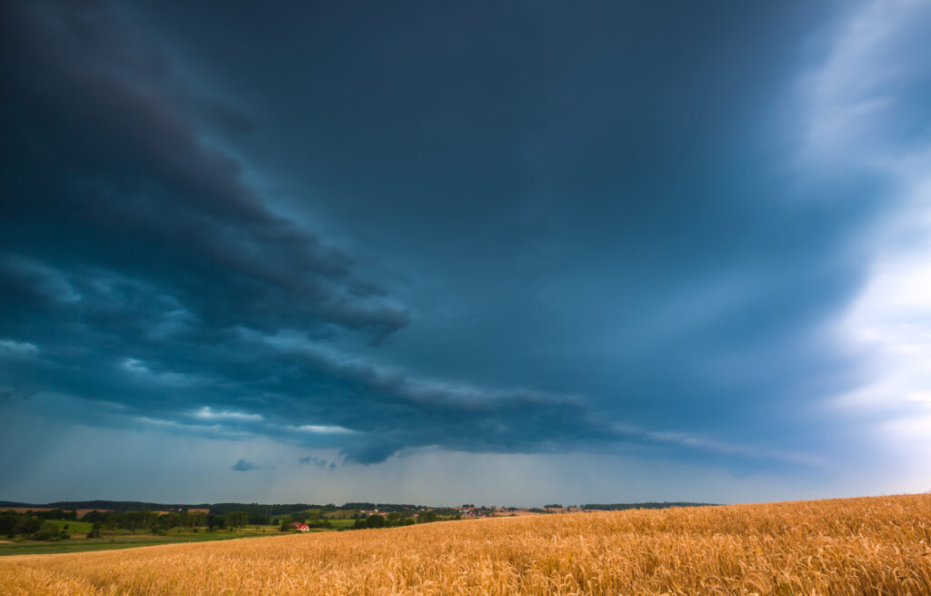 Llega el fenómeno de La Niña y cómo afectará al clima este 2025