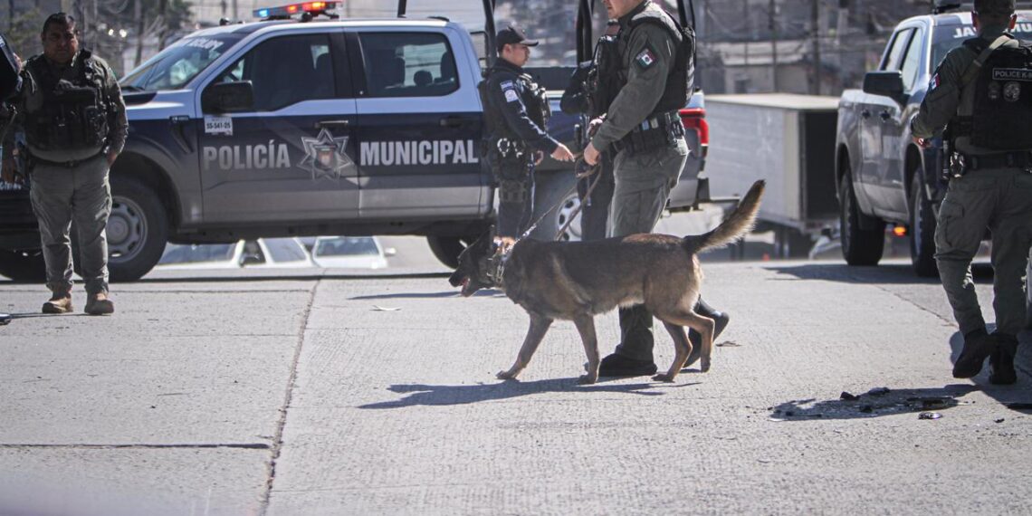 Sujeto con auto robado desata persecución y es detenido