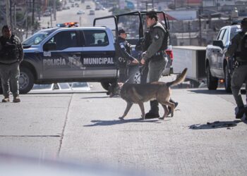 Sujeto con auto robado desata persecución y es detenido