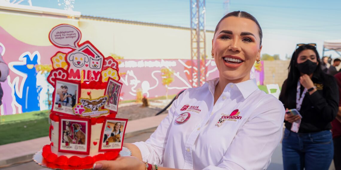 Santuario Animal Mily celebra primer año dando una nueva oportunidad a perros y gatos