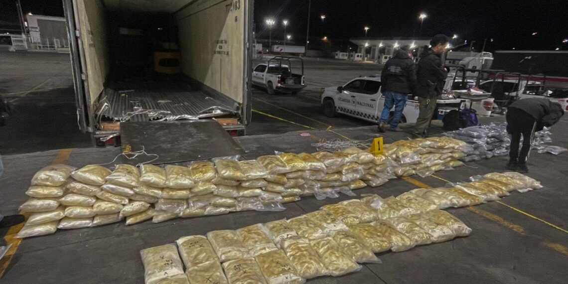 Interceptan tráiler de tomates proveniente de Sinaloa con casi 600 kilos de droga