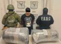 FESC y Defensa aseguran más de 30 kg de marihuana en Ensenada