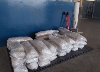 Agentes de CBP decomisan 1500 libras de narcóticos en tres intentos de contrabando