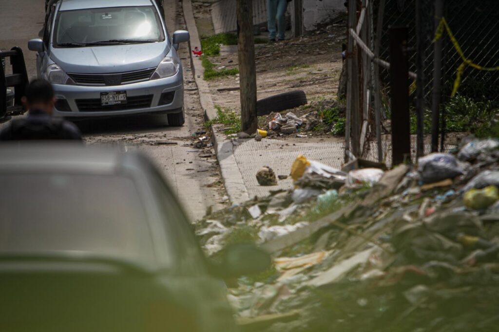 Perro encuentra cráneo humano mientras jugaba con su peluche