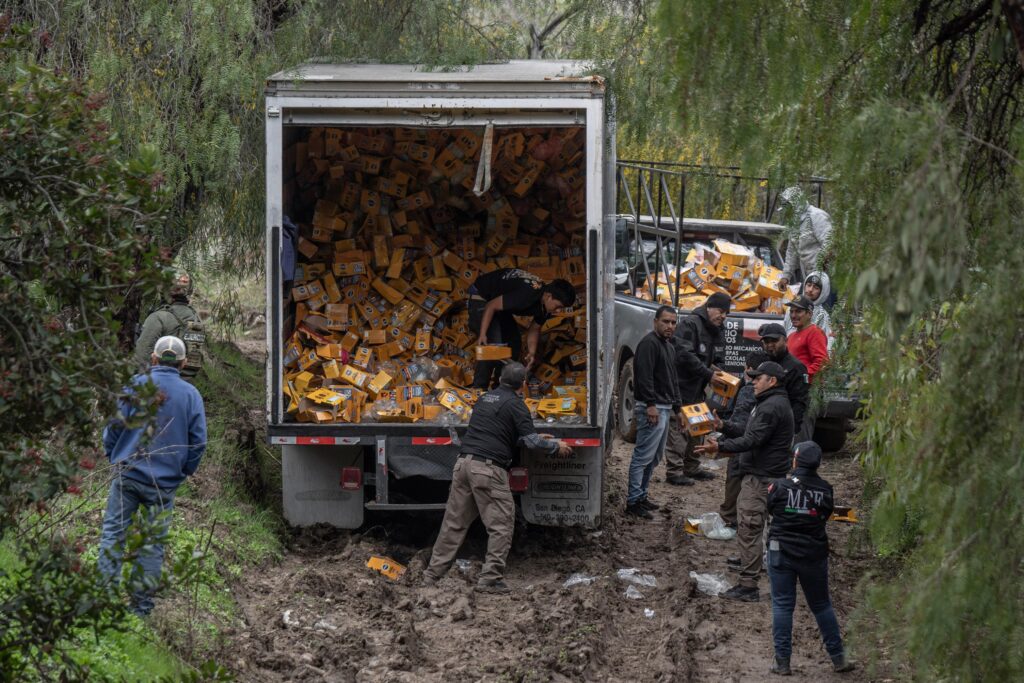 Incineran casi 6 toneladas de droga decomisada en paquetes de comida para perro