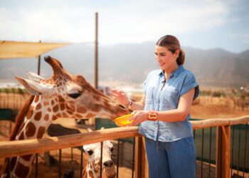 Corazones Viajeros benefició a 5,550 personas en Baja California en 2025