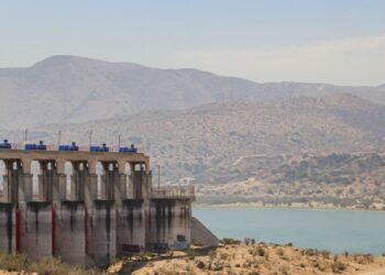 Afectación de fauna acuática en la Presa Abelardo L. Rodríguez: emiten alerta
