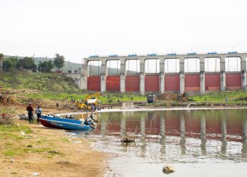 Vuelco térmico: mitigan mortandad de peces en presa Abelardo L. Rodríguez