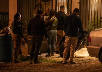 Rescatan a siete perros tras cateo en Villa del Sol; uno fue hallado sin vida