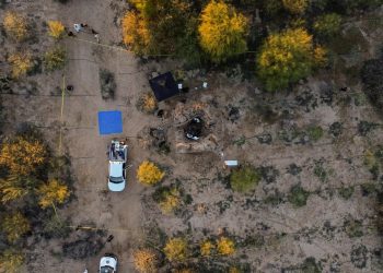 Supervisión de búsquedas en Miguel Alemán: Madres Unidas y Fuertes ajusta estrategia