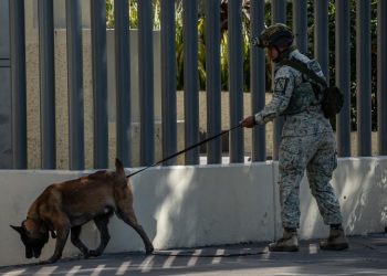 Amenaza de bomba en Juzgados Federales de Tijuana activa evacuación en Zona Río