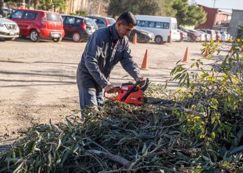 Tijuana Ciudad Limpia llega a Otay y Sánchez Taboada; reportan 2 mil beneficiados
