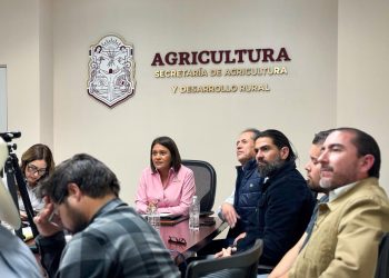 Precio justo del trigo: SADER BC avanza en mesas de trabajo 2025/2026