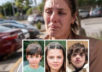 Violencia vicaria: madre francesa denuncia custodia provisional al padre en 24 horas; sus hijos están desaparecidos