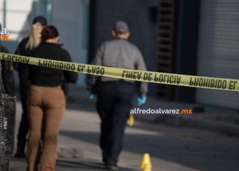 Foto: Border Zoom | Noticias Alfredo