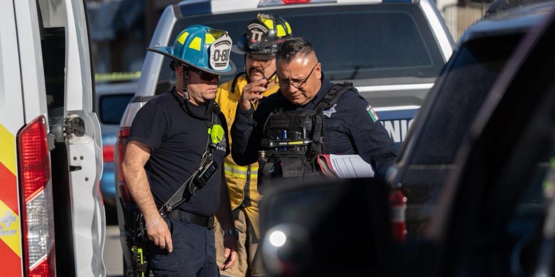 Foto: Omar Martínez | Noticias Alfredo