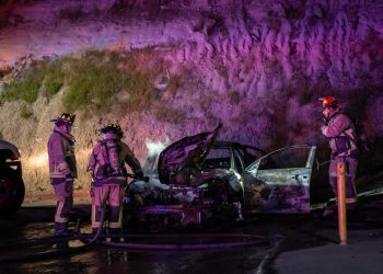 Foto: Border Zoom | Noticias Alfredo