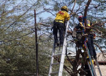 Foto: Border Zoom | Noticias Alfredo