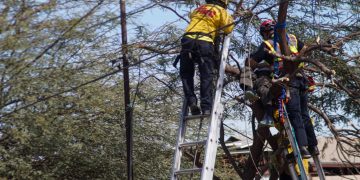 Foto: Border Zoom | Noticias Alfredo