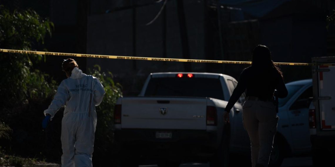 Foto: Border Zoom| Noticias Alfredo