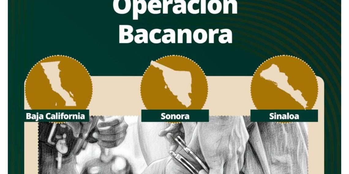 Foto: Especial| Noticias Alfredo