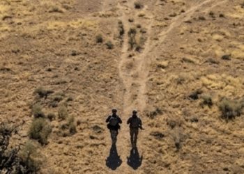 Foto: SSPCM  | Noticias Alfredo